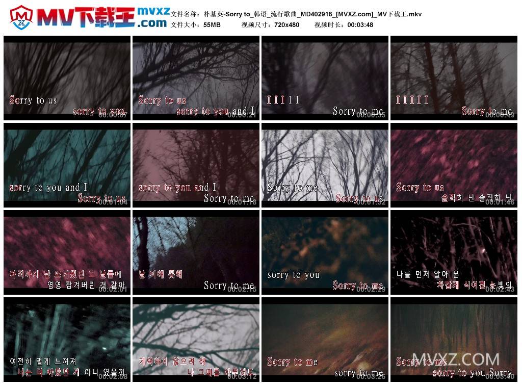 朴基英-Sorry to_韩语_流行歌曲_MD402918
